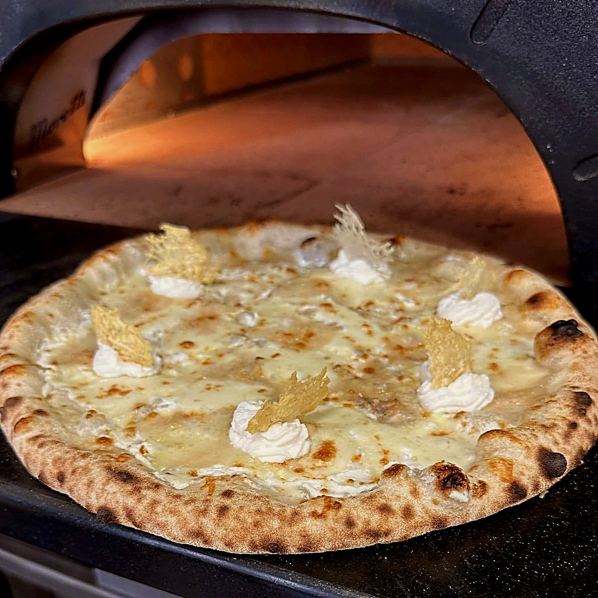 Egész, sajtos fehér pizza a kemence szája előtt, ricotta-pöttyökkel és vékony parmezán chipsekkel